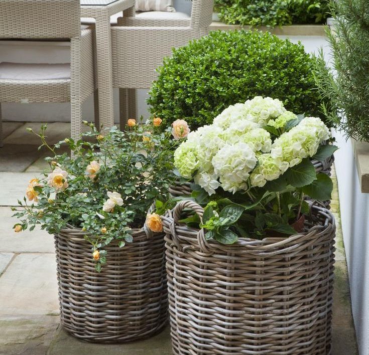 Las mejores ideas para decorar tu balcón con flores Las mejores ideas para decorar tu balcón con flores