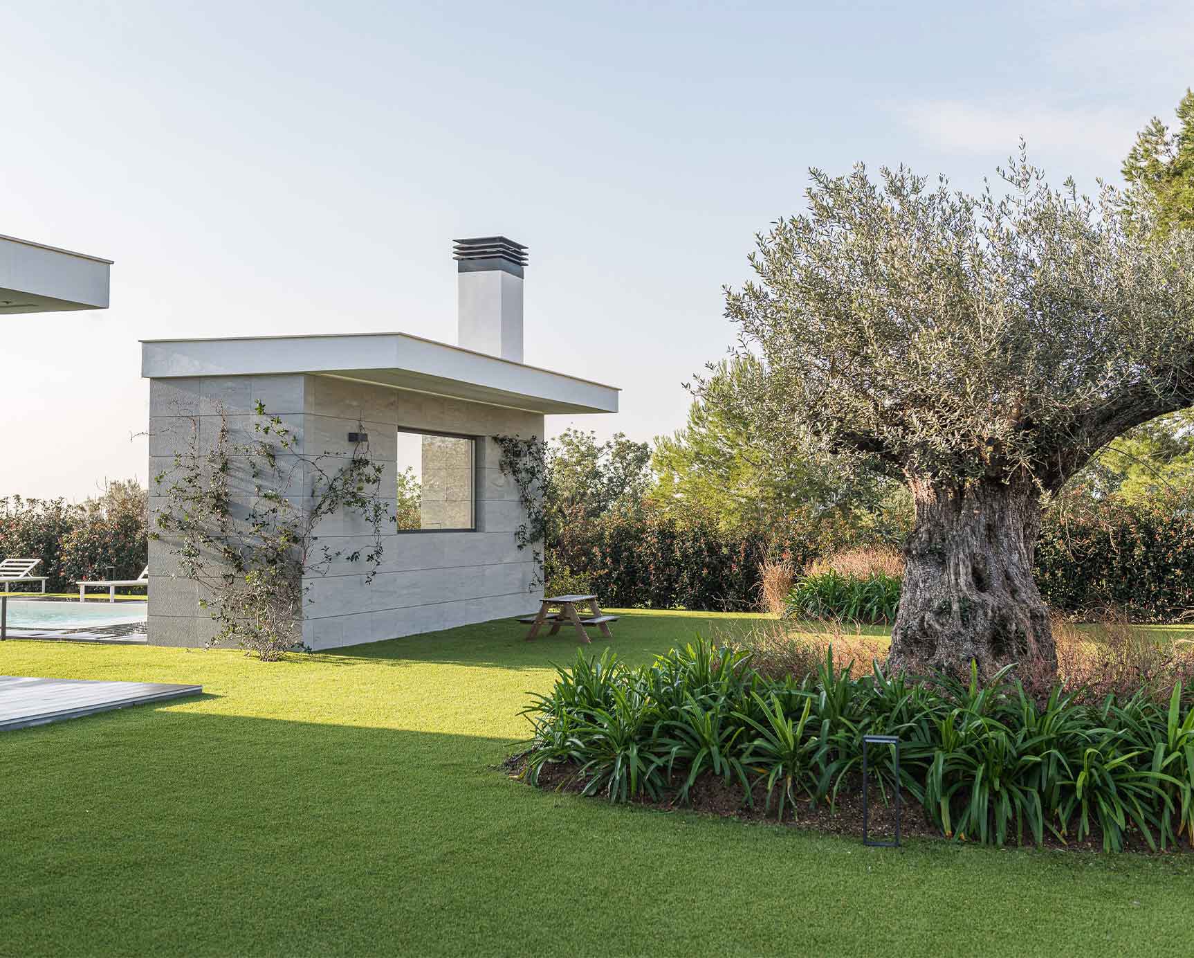 Jardín exterior con plantas y árbol Jardín exterior con plantas y árbol