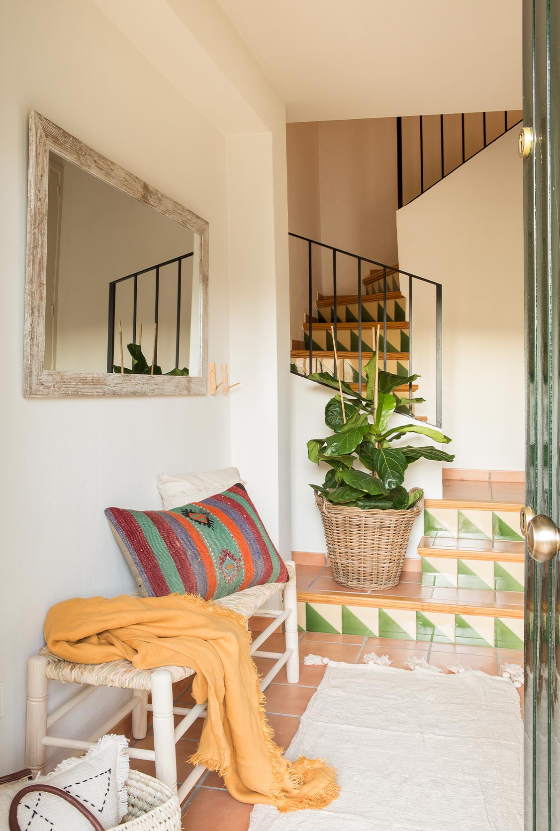 Plantas decorativas Plantas decorativas