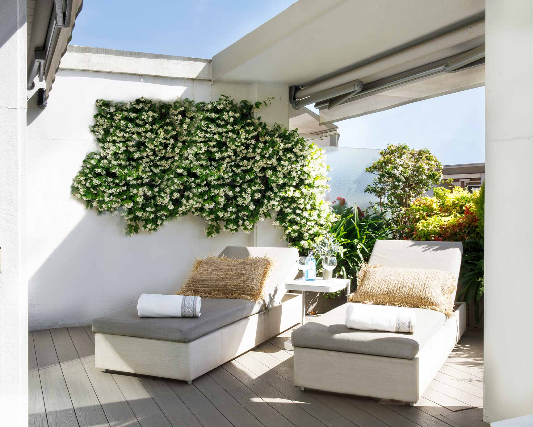Terraza con tumbonas y plantas Terraza con tumbonas y plantas