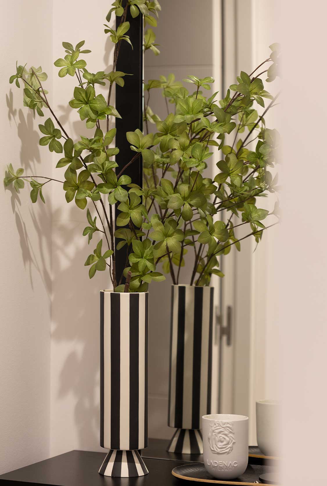 Jarrón con plantas de decoración
